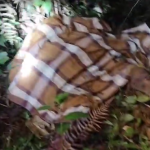 Warga Pemangku Sinar Harapan Lampung Barat Meninggal, Diduga Korban Serangan Satwa Liar