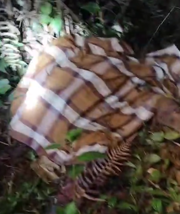 Warga Pemangku Sinar Harapan Lampung Barat Meninggal, Diduga Korban Serangan Satwa Liar