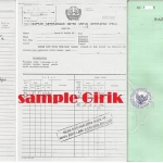 Sertifikatkan Tanahmu Sekarang! Fakta Terkait Isu Girik dan Letter C yang Perlu Anda Ketahui